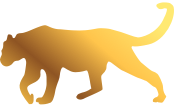 tigre